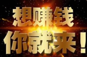 暂不公开项目-寻梦者开发网