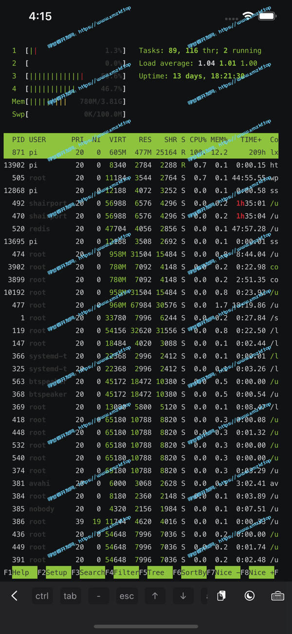 一款苹果端软件《ServerCat》Linux 服务器系统监控服务器状态与 Docker 容器状态,还可以 SSH链接 一款苹果端软件《ServerCat》Linux 服务器系统监控服务器状态与 Docker 容器状态,还可以 SSH链接